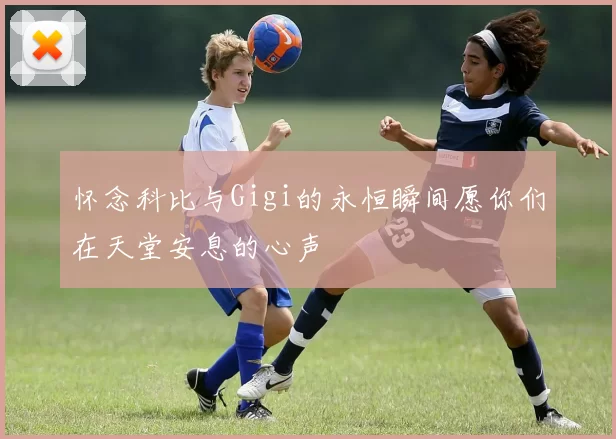 怀念科比与Gigi的永恒瞬间愿你们在天堂安息的心声
